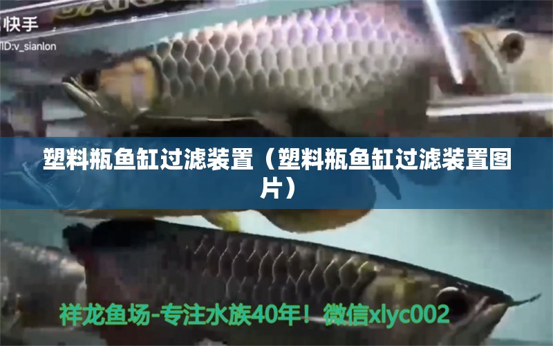 塑料瓶魚缸過濾裝置（塑料瓶魚缸過濾裝置圖片）