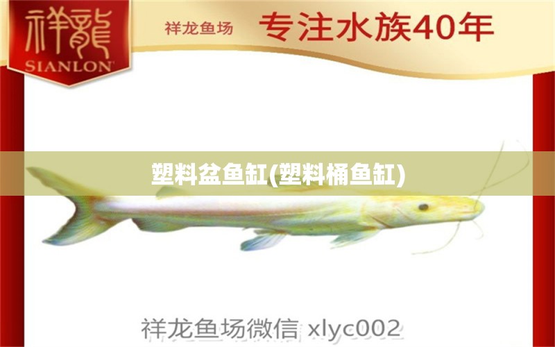 塑料盆魚缸(塑料桶魚缸)