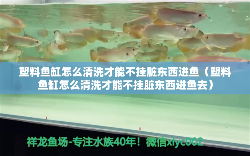 塑料魚(yú)缸怎么清洗才能不掛臟東西進(jìn)魚(yú)（塑料魚(yú)缸怎么清洗才能不掛臟東西進(jìn)魚(yú)去） 白子銀龍魚(yú)苗