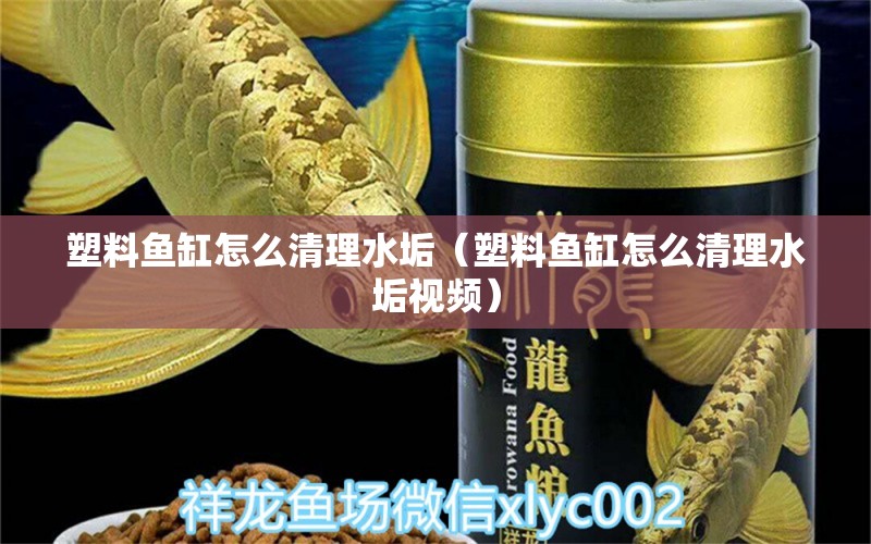 塑料魚缸怎么清理水垢（塑料魚缸怎么清理水垢視頻） 帝王三間魚