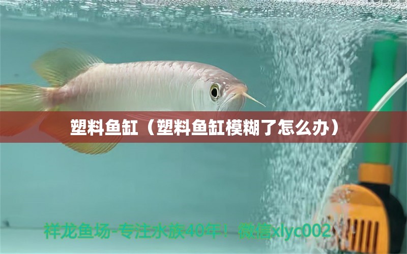 塑料魚缸（塑料魚缸模糊了怎么辦）