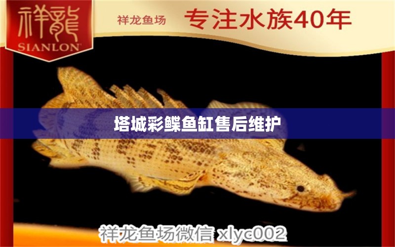 塔城彩鰈魚缸售后維護(hù)