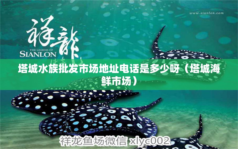 塔城水族批發(fā)市場地址電話是多少呀（塔城海鮮市場）