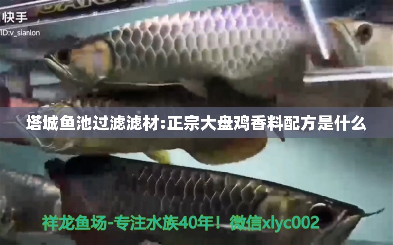 塔城魚池過(guò)濾濾材:正宗大盤雞香料配方是什么 廣州水族器材濾材批發(fā)市場(chǎng)