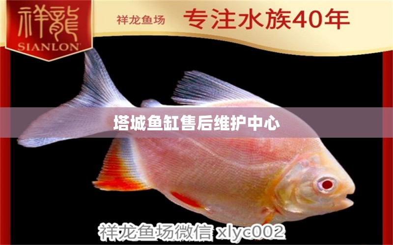 塔城魚缸售后維護(hù)中心