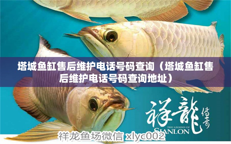 塔城魚缸售后維護(hù)電話號(hào)碼查詢（塔城魚缸售后維護(hù)電話號(hào)碼查詢地址） 其他品牌魚缸