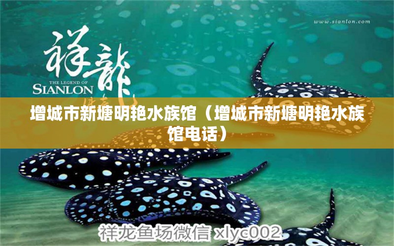 增城市新塘明艷水族館（增城市新塘明艷水族館電話） 全國水族館企業(yè)名錄