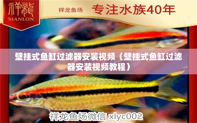 壁掛式魚缸過濾器安裝視頻（壁掛式魚缸過濾器安裝視頻教程） 其他品牌魚缸