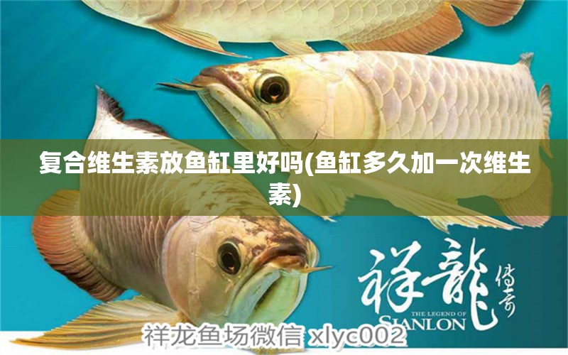 復(fù)合維生素放魚缸里好嗎(魚缸多久加一次維生素) 巴西亞魚苗 第1張