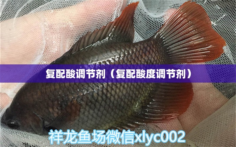 復配酸調(diào)節(jié)劑（復配酸度調(diào)節(jié)劑） 祥龍水族醫(yī)院