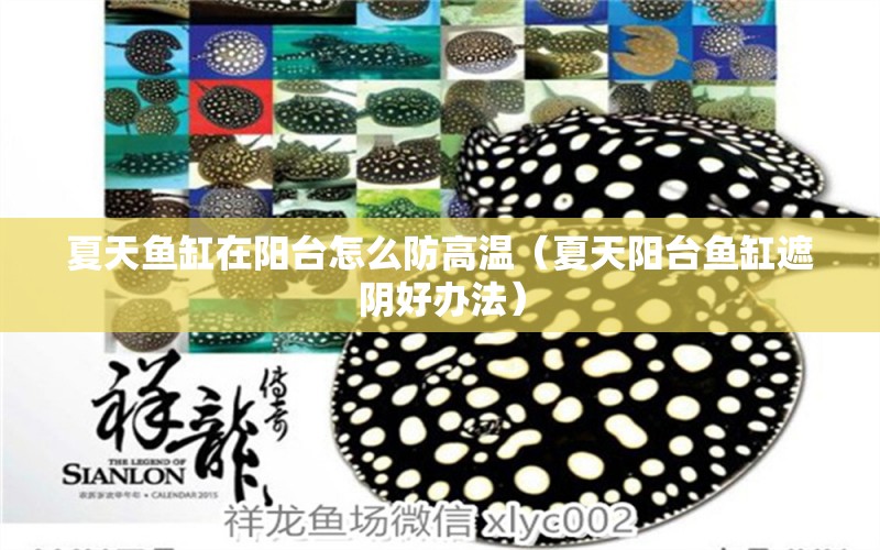 夏天魚缸在陽(yáng)臺(tái)怎么防高溫（夏天陽(yáng)臺(tái)魚缸遮陰好辦法）