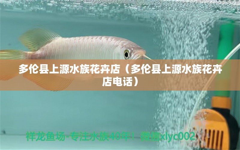 多倫縣上源水族花卉店（多倫縣上源水族花卉店電話）