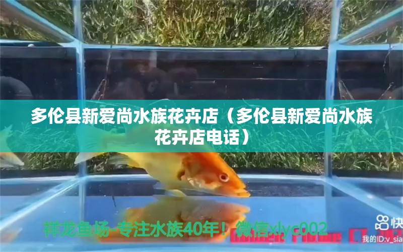 多倫縣新愛尚水族花卉店（多倫縣新愛尚水族花卉店電話）