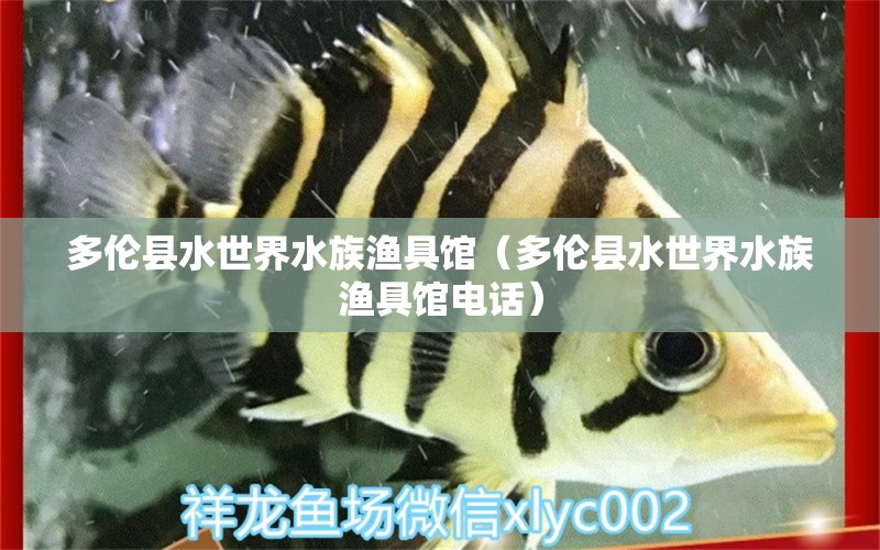 多倫縣水世界水族漁具館（多倫縣水世界水族漁具館電話） 全國水族館企業(yè)名錄