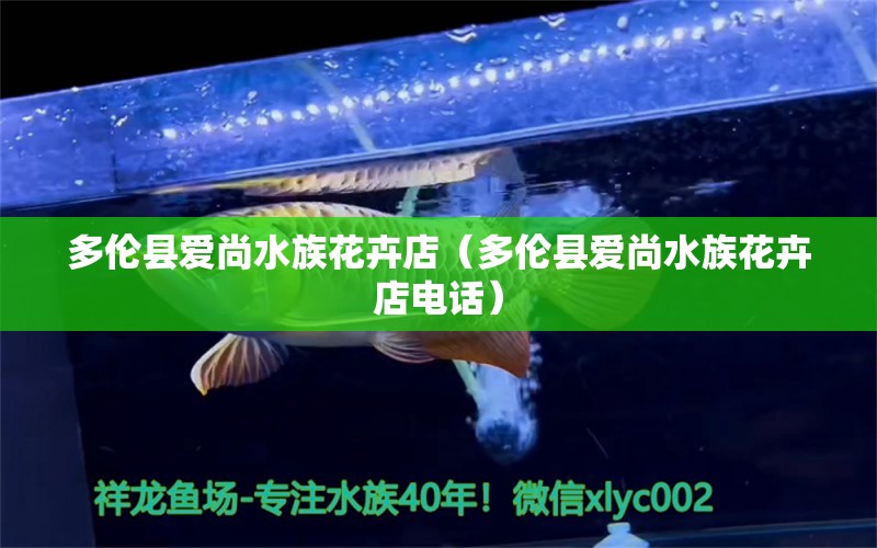 多倫縣愛尚水族花卉店（多倫縣愛尚水族花卉店電話）