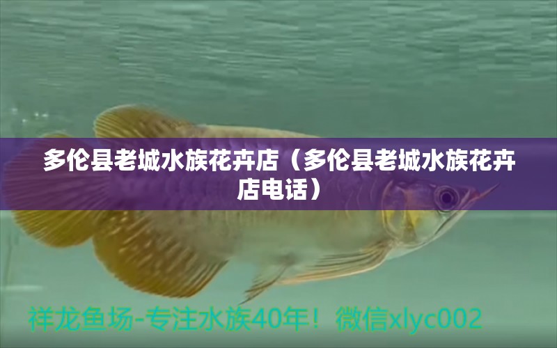 多倫縣老城水族花卉店（多倫縣老城水族花卉店電話）