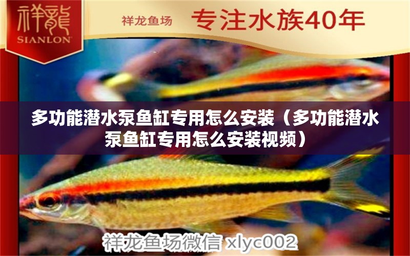 多功能潛水泵魚缸專用怎么安裝（多功能潛水泵魚缸專用怎么安裝視頻）