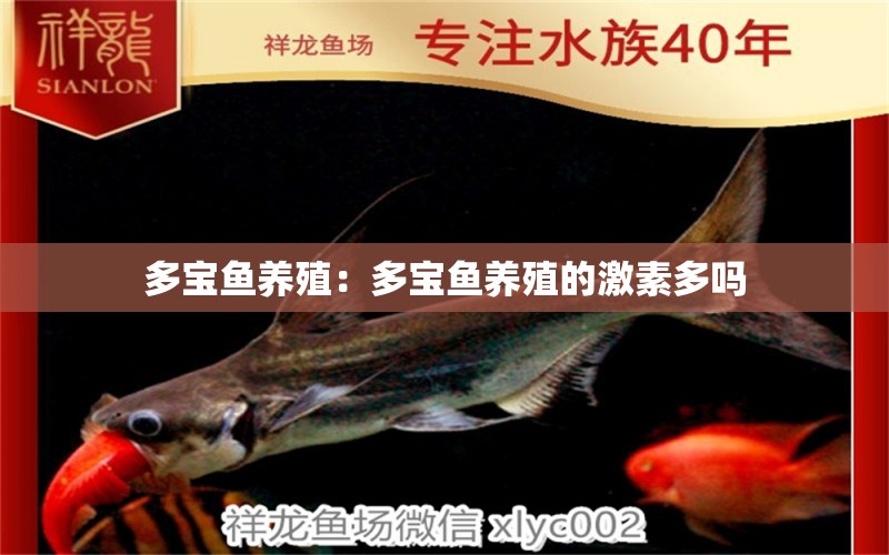 多寶魚養(yǎng)殖：多寶魚養(yǎng)殖的激素多嗎 祥龍水族醫(yī)院