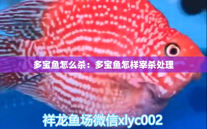 多寶魚怎么殺：多寶魚怎樣宰殺處理 潛水泵