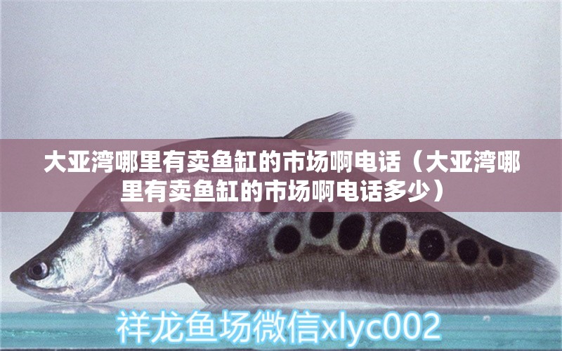 大亞灣哪里有賣(mài)魚(yú)缸的市場(chǎng)啊電話(huà)（大亞灣哪里有賣(mài)魚(yú)缸的市場(chǎng)啊電話(huà)多少）