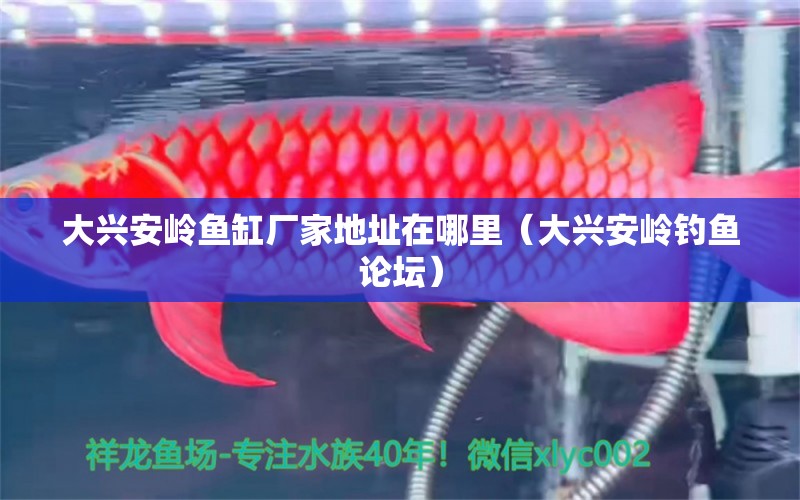 大興安嶺魚(yú)缸廠家地址在哪里（大興安嶺釣魚(yú)論壇） 觀賞魚(yú)批發(fā)