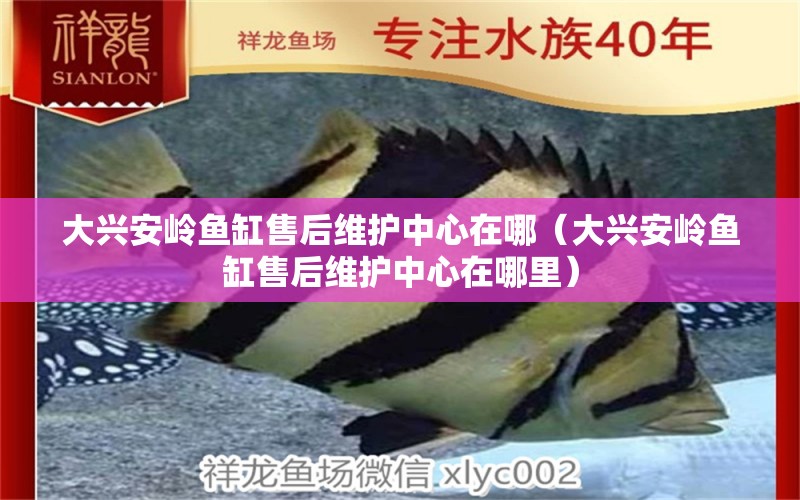 大興安嶺魚缸售后維護(hù)中心在哪（大興安嶺魚缸售后維護(hù)中心在哪里）