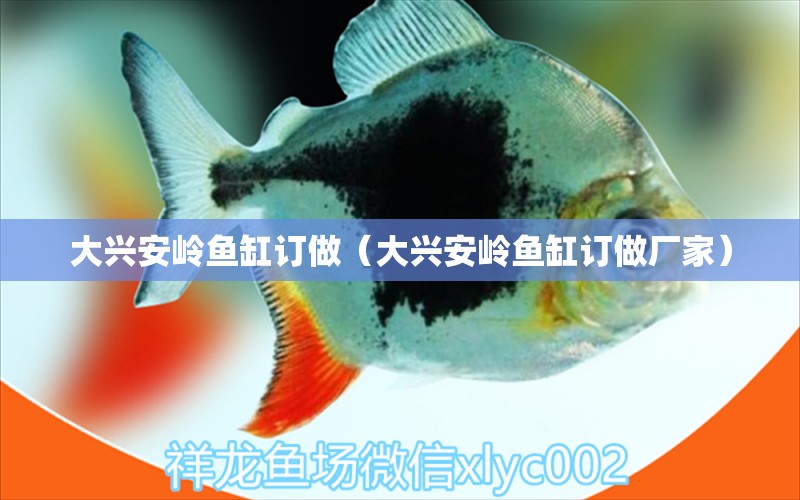 大興安嶺魚缸訂做（大興安嶺魚缸訂做廠家）