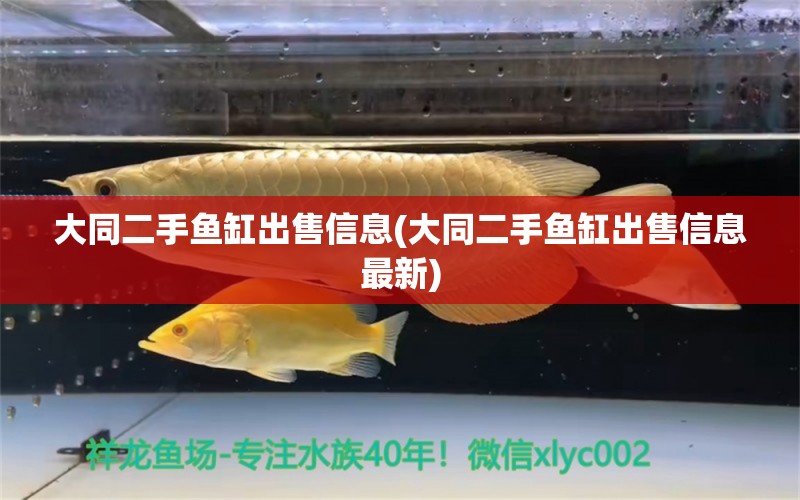 大同二手魚缸出售信息(大同二手魚缸出售信息最新) 祥龍傳奇品牌魚缸