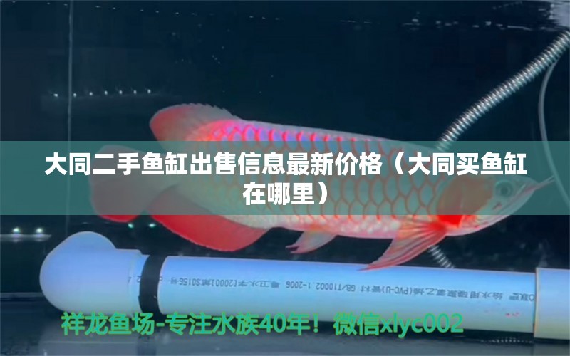 大同二手魚(yú)缸出售信息最新價(jià)格（大同買(mǎi)魚(yú)缸在哪里）