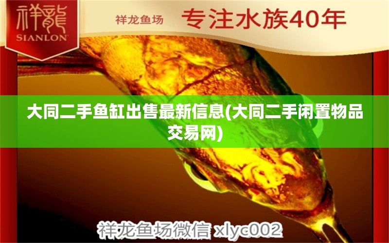 大同二手魚缸出售最新信息(大同二手閑置物品交易網(wǎng)) 黃鰭鯧魚