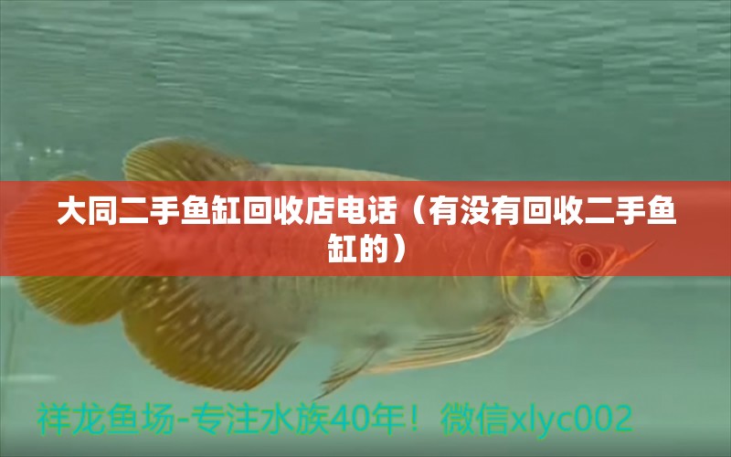 大同二手魚缸回收店電話（有沒有回收二手魚缸的） 紅魔王銀版魚