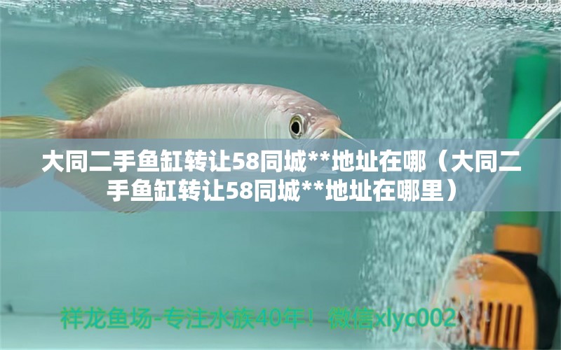 大同二手魚缸轉(zhuǎn)讓58同城**地址在哪（大同二手魚缸轉(zhuǎn)讓58同城**地址在哪里）