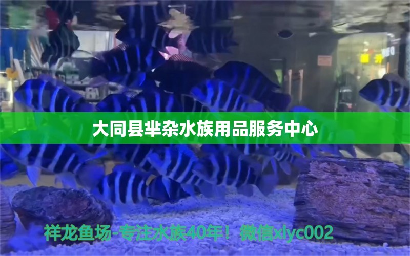 大同縣羋雜水族用品服務中心