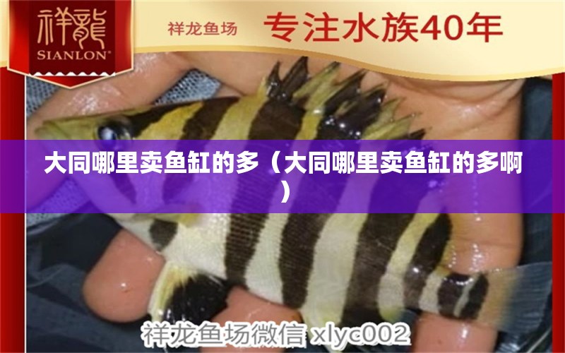 大同哪里賣魚缸的多（大同哪里賣魚缸的多?。?其他品牌魚缸