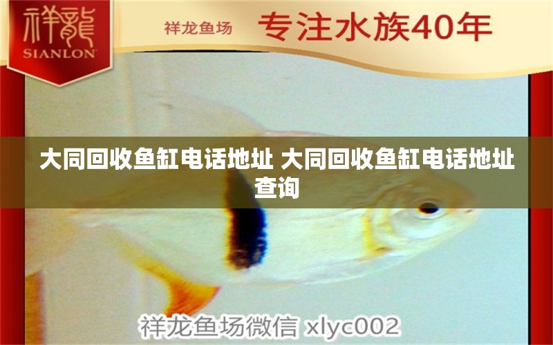 大同回收魚缸電話地址 大同回收魚缸電話地址查詢 祥龍水族護理水 第1張