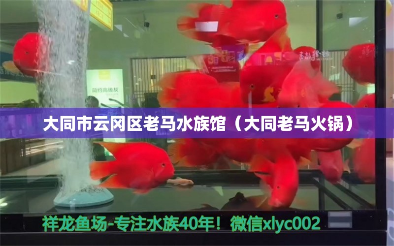 大同市云岡區(qū)老馬水族館（大同老馬火鍋） 全國水族館企業(yè)名錄