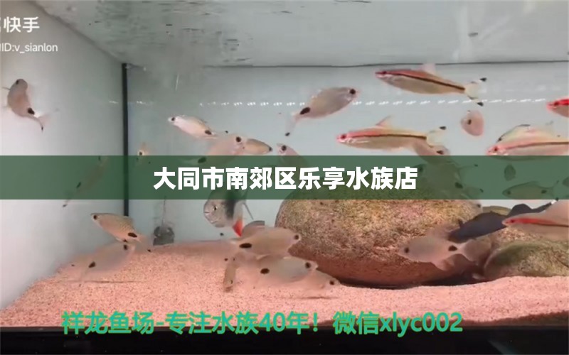 大同市南郊區(qū)樂享水族店