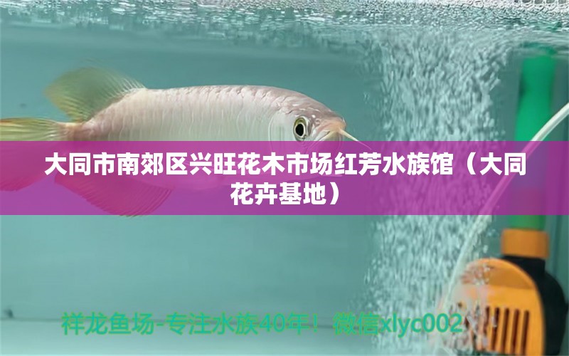 大同市南郊區(qū)興旺花木市場紅芳水族館（大同花卉基地） 全國水族館企業(yè)名錄