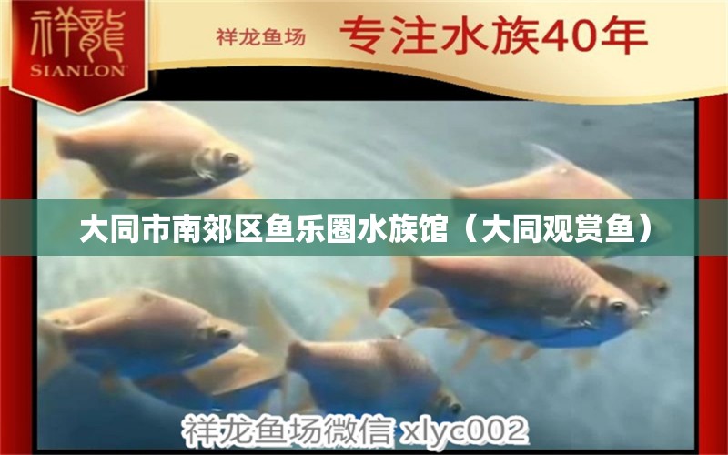 大同市南郊區(qū)魚樂圈水族館（大同觀賞魚）