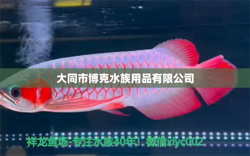 大同市博克水族用品有限公司 水族用品