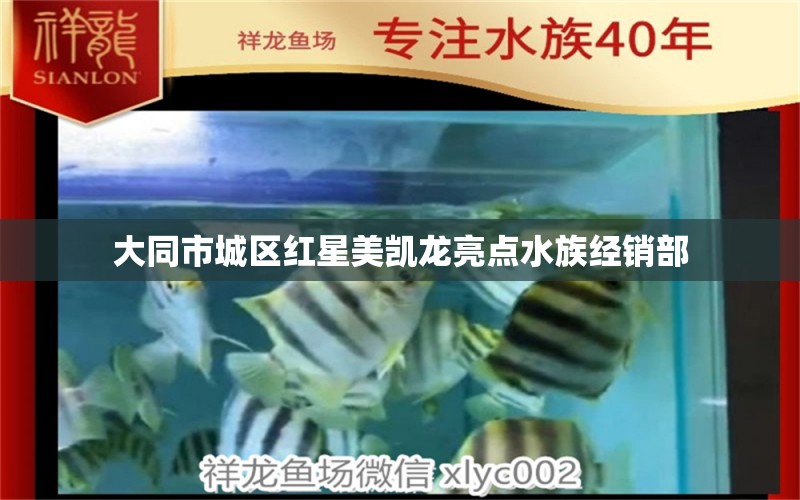 大同市城區(qū)紅星美凱龍亮點水族經(jīng)銷部 全國水族館企業(yè)名錄