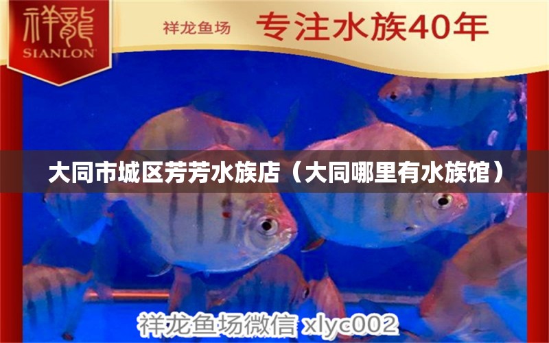 大同市城區(qū)芳芳水族店（大同哪里有水族館） 全國水族館企業(yè)名錄