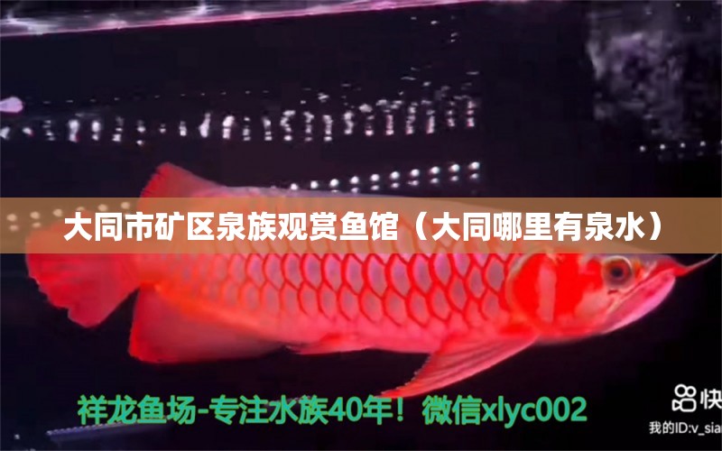 大同市礦區(qū)泉族觀賞魚館（大同哪里有泉水）