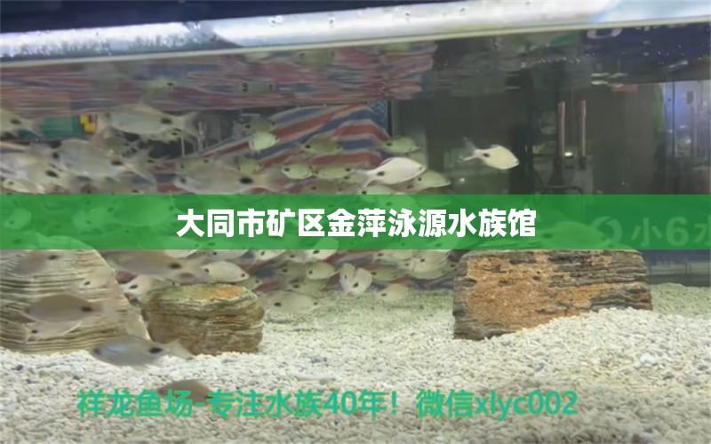 大同市礦區(qū)金萍泳源水族館