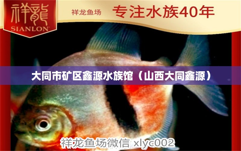 大同市礦區(qū)鑫源水族館（山西大同鑫源） 全國水族館企業(yè)名錄