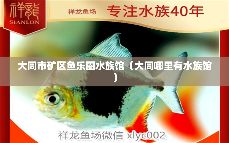 大同市礦區(qū)魚樂圈水族館（大同哪里有水族館） 全國水族館企業(yè)名錄