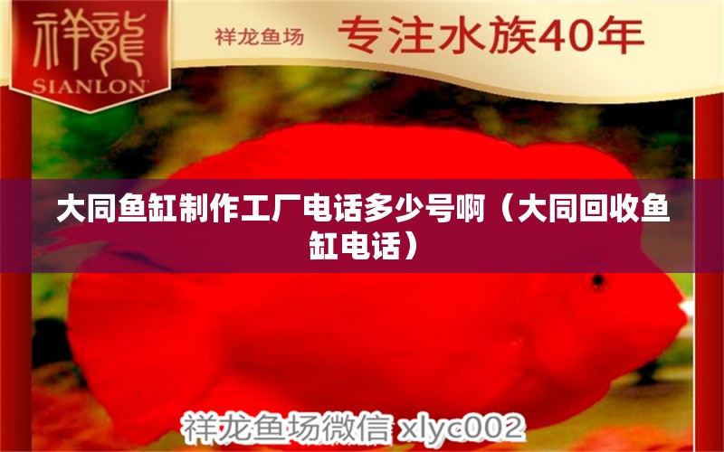 大同魚缸制作工廠電話多少號?。ù笸厥蒸~缸電話）