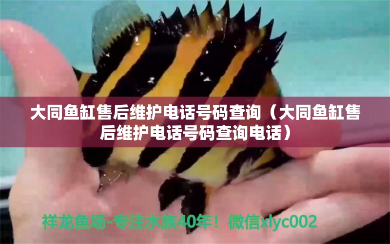 大同魚缸售后維護電話號碼查詢（大同魚缸售后維護電話號碼查詢電話）