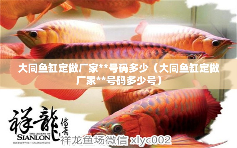 大同魚缸定做廠家**號(hào)碼多少（大同魚缸定做廠家**號(hào)碼多少號(hào)） 祥龍水族醫(yī)院