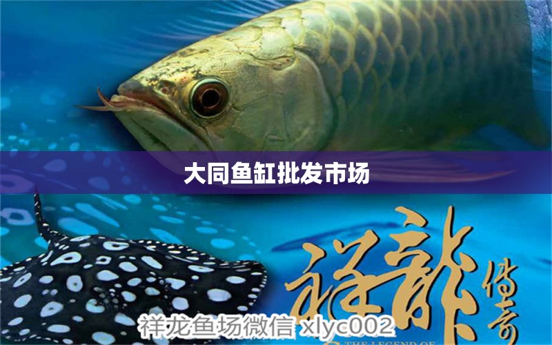 大同魚缸批發(fā)市場(chǎng) 觀賞魚水族批發(fā)市場(chǎng)